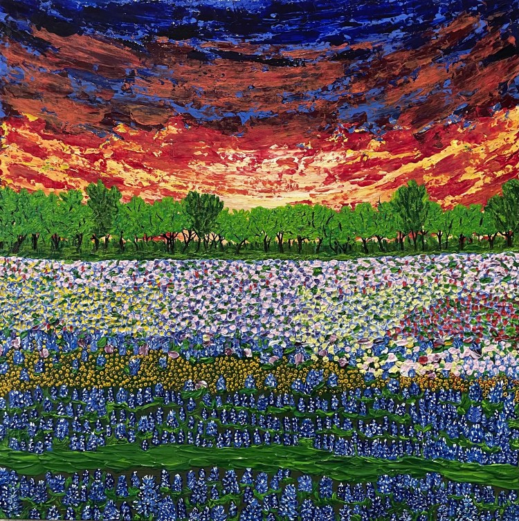 Field of Blue Bonnets